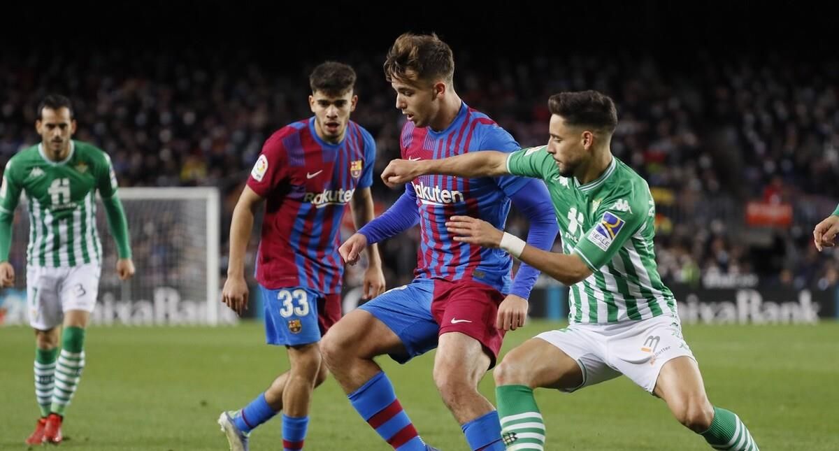 诚挚的慈善 诚挚的慈善