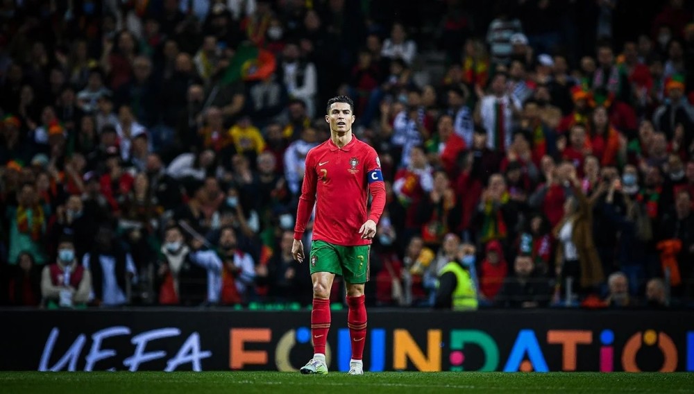 高达八成 高达八成